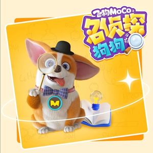 男主持人露臀视频
